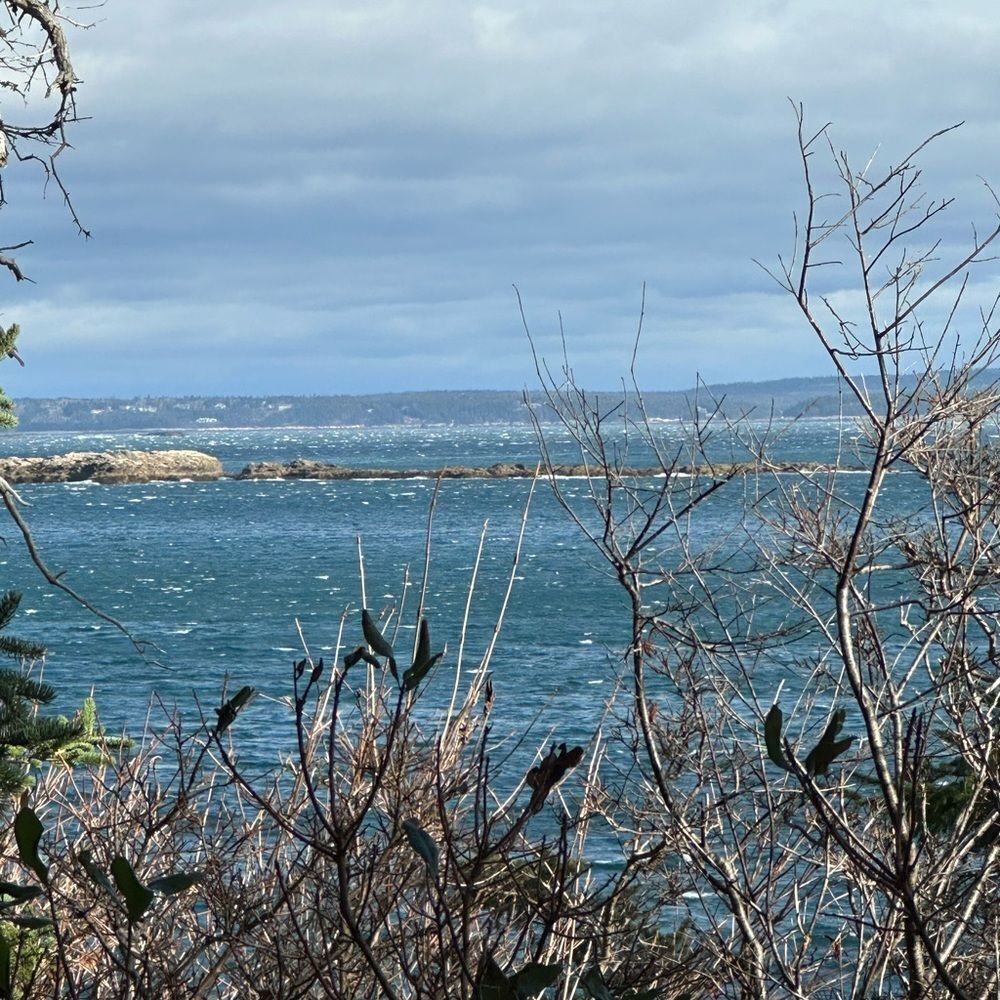 MAINE  - Picture 9 of 15